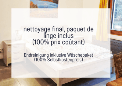 Eindschoonmaak