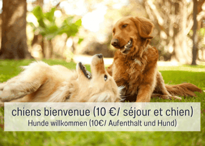 Honden welkom
