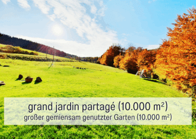 Large shared garden